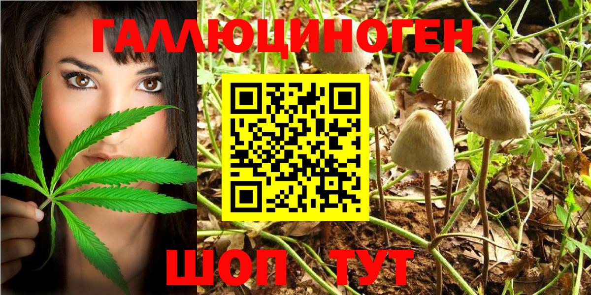Саров  где найти наркотики  Вход с VPN  Галлюциногенные грибы MAGIC MUSHROOMS 
